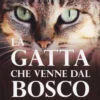 La Gatta che Venne dal Bosco