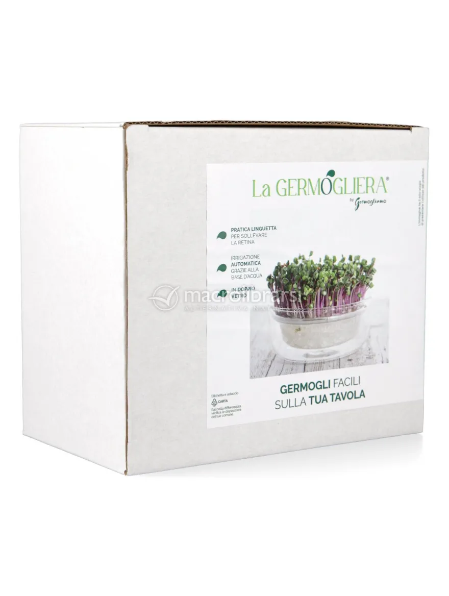 La Germogliera: Germogliatore in Vetro