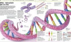 La Grande Enciclopedia del Corpo Umano