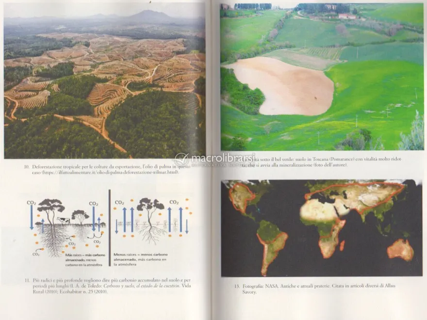 La Grande Rigenerazione Climatica