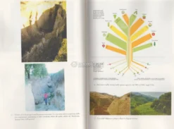 La Grande Rigenerazione Climatica