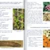 L'Agricoltura degli Dei - La Patata