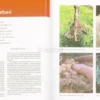 L'Agricoltura Naturale e l'Arte del Non Fare