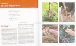 L'Agricoltura Naturale e l'Arte del Non Fare