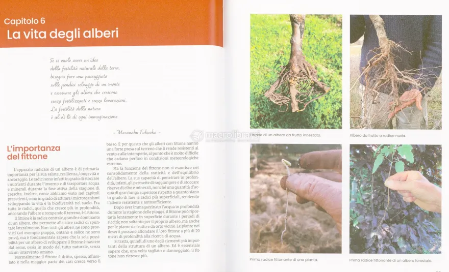 L'Agricoltura Naturale e l'Arte del Non Fare