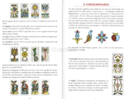 La Guida Definitiva ai Tarocchi Marsigliesi