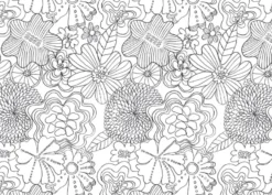 L'album della Mindfulness