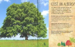 La Magia e il Mistero degli Alberi