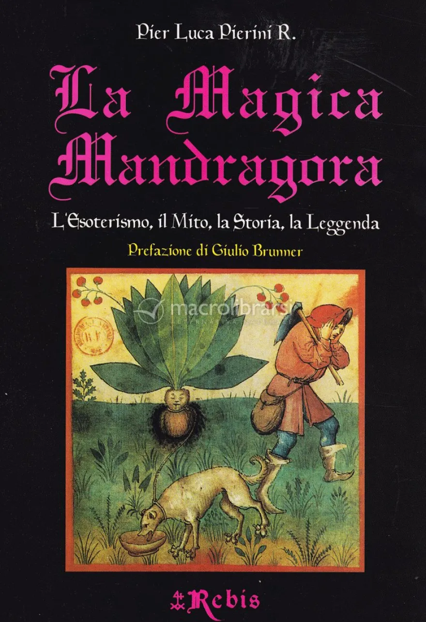 La Magica Mandragora