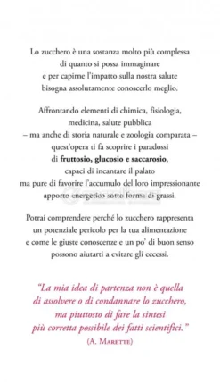 L'Amara Verità sullo Zucchero