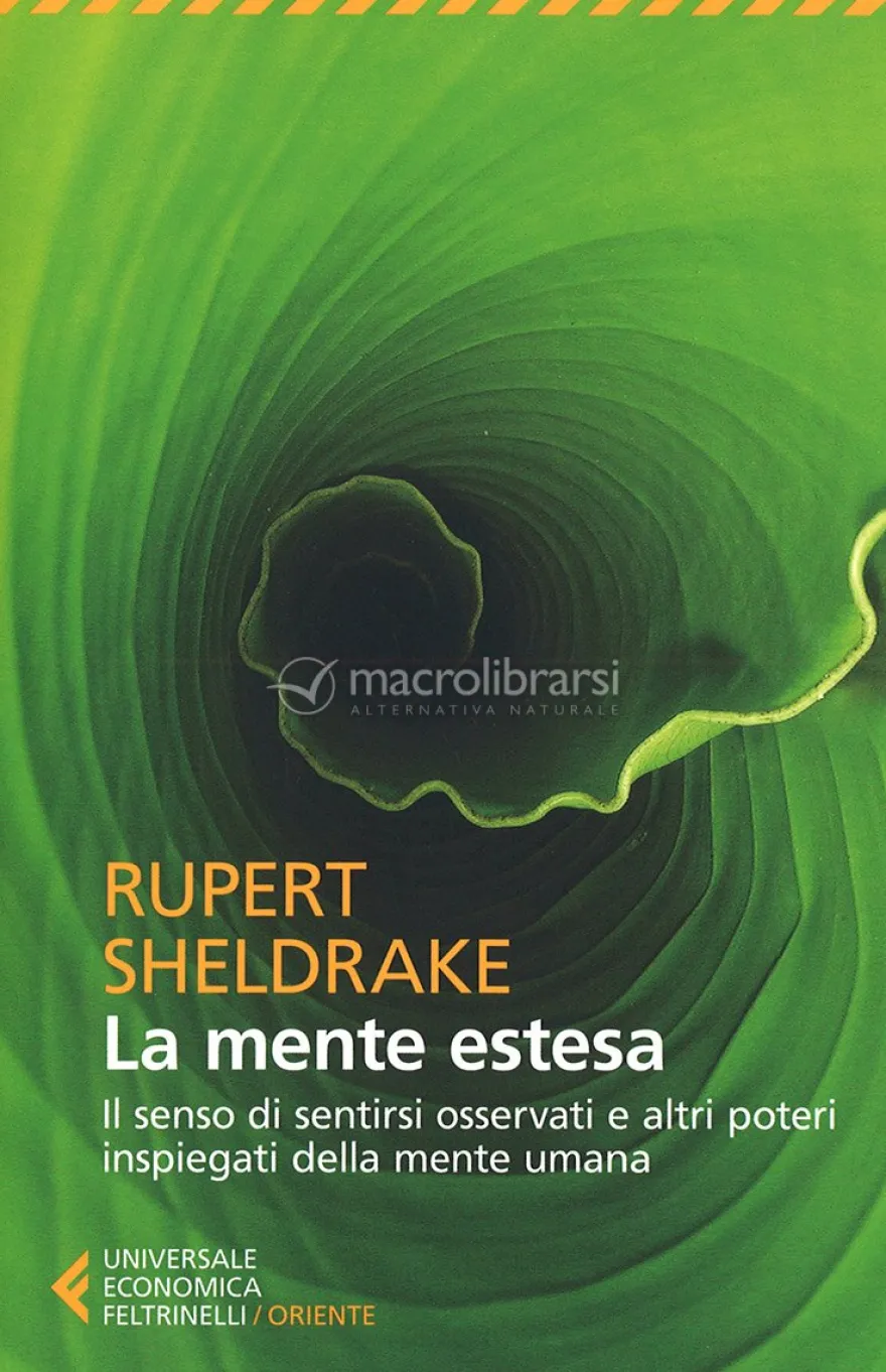 La Mente Estesa