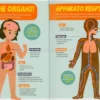La Mia Prima Grande Enciclopedia