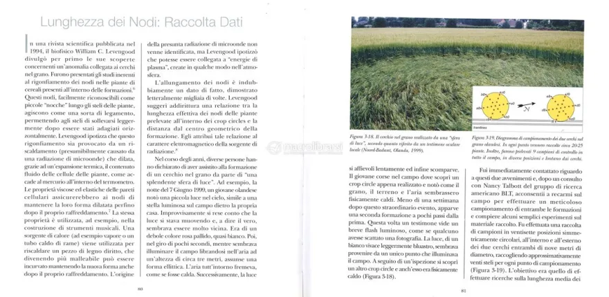 La Natura Complessa dei Cerchi nel Grano