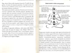 La Natura Karmica della Malattia