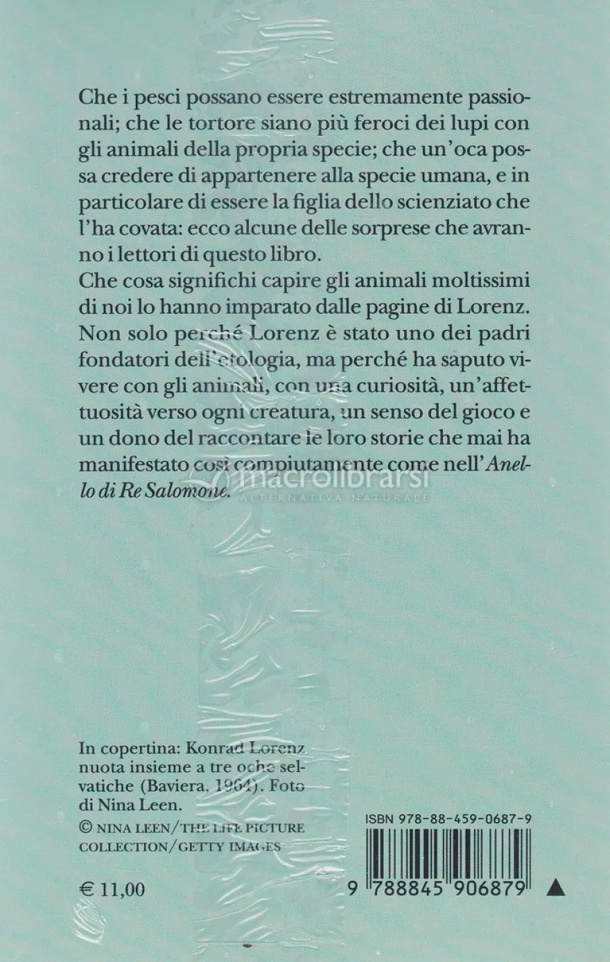 L'anello di Re Salomone