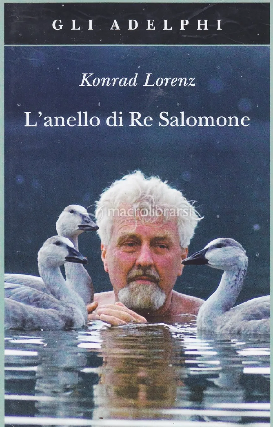 L'anello di Re Salomone