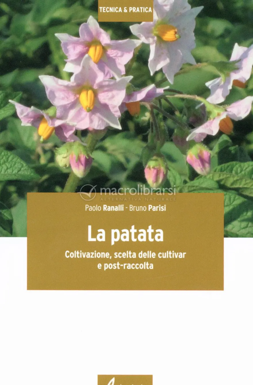 La Patata