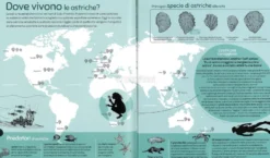 La Prima Ostrica
