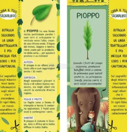 La Principessa e la Cacca di Mammut