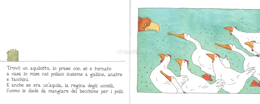 L'Aquila che Non Voleva Volare