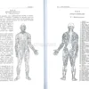 La Radiestesia Applicata alla Medicina
