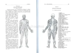 La Radiestesia Applicata alla Medicina