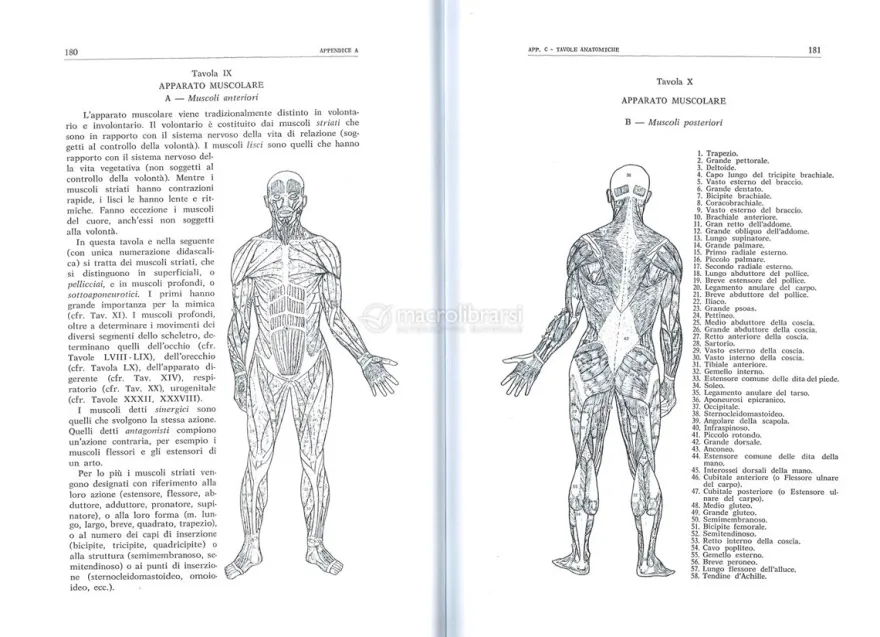 La Radiestesia Applicata alla Medicina