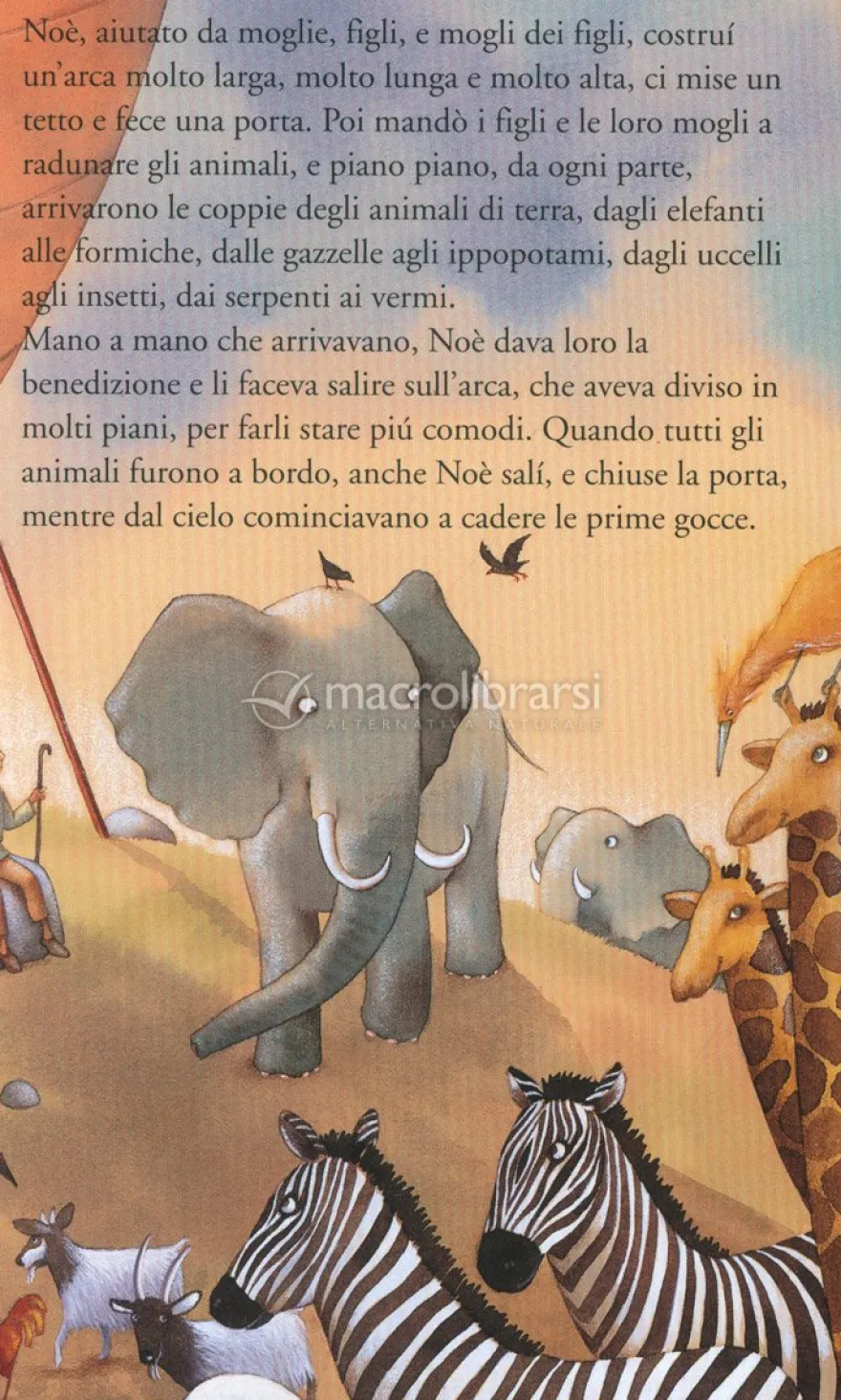L'Arca di Noè
