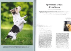La Resilienza nei Cani