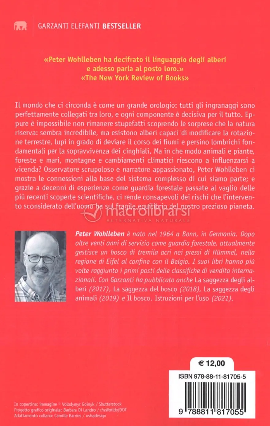 La Rete Invisibile della Natura