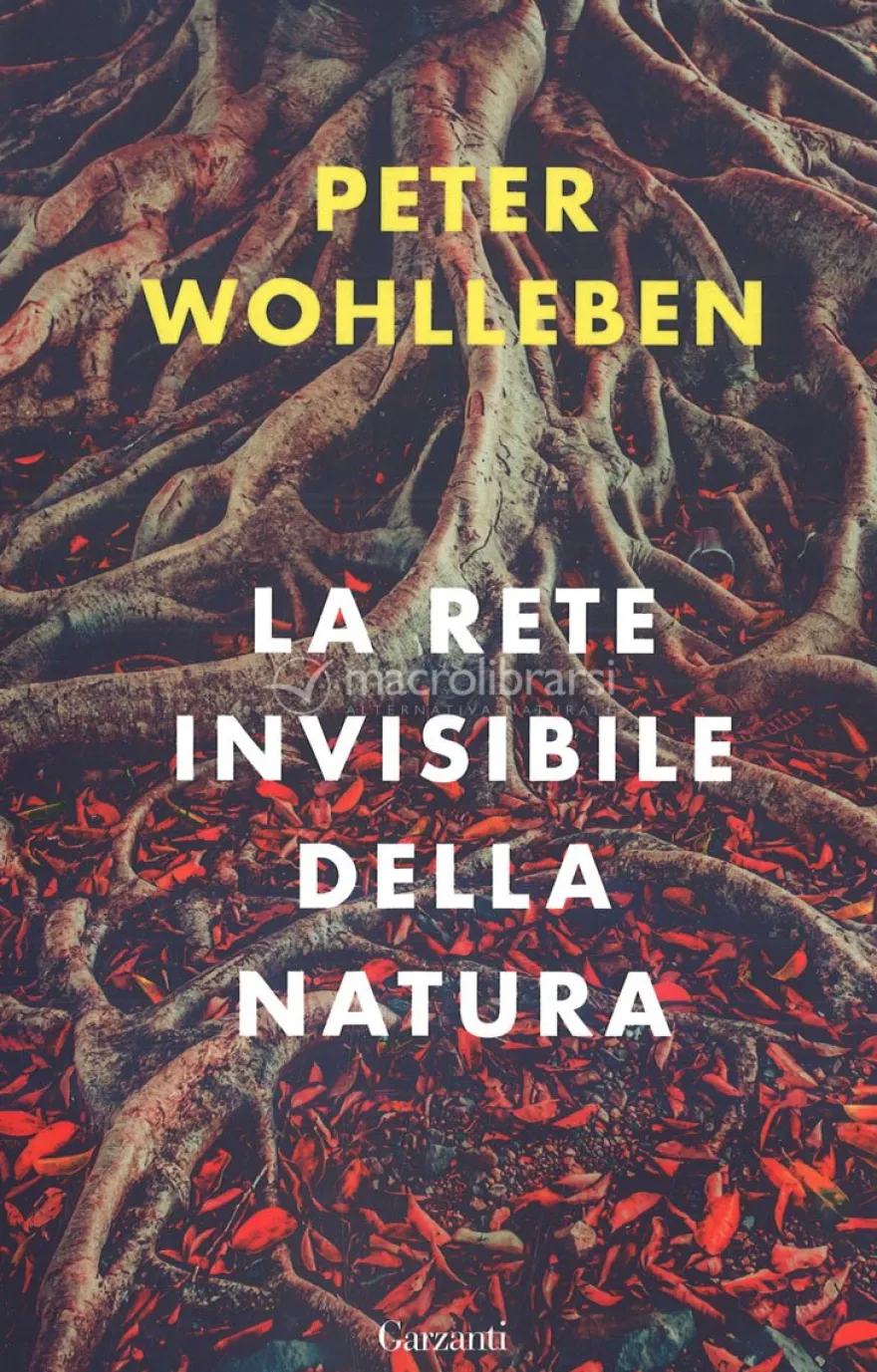 La Rete Invisibile della Natura