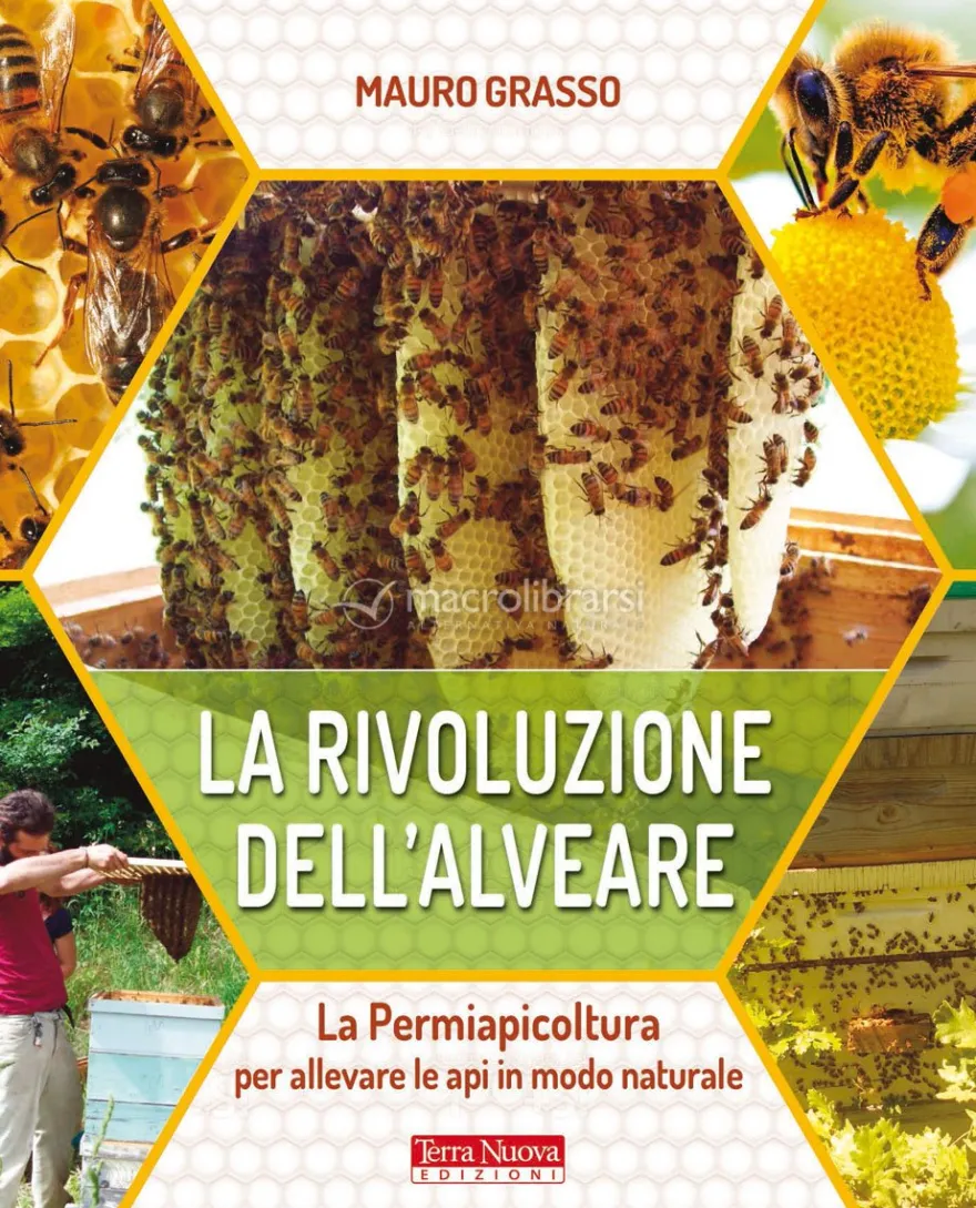 La Rivoluzione dell'Alveare