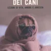 La Saggezza dei Cani