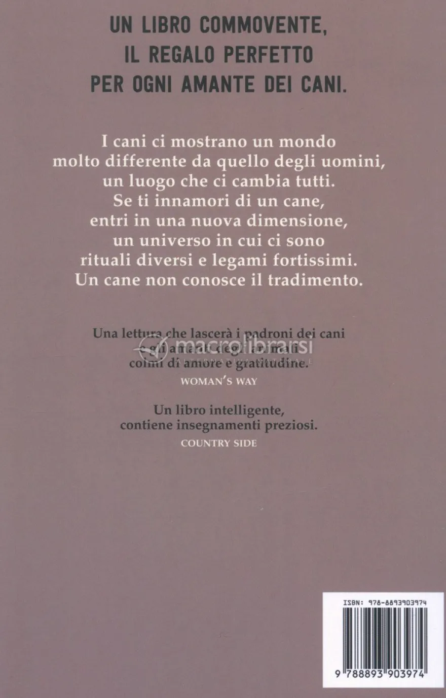 La Saggezza dei Cani