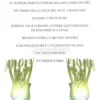 La Scelta Vegetariana