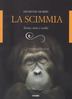 La Scimmia