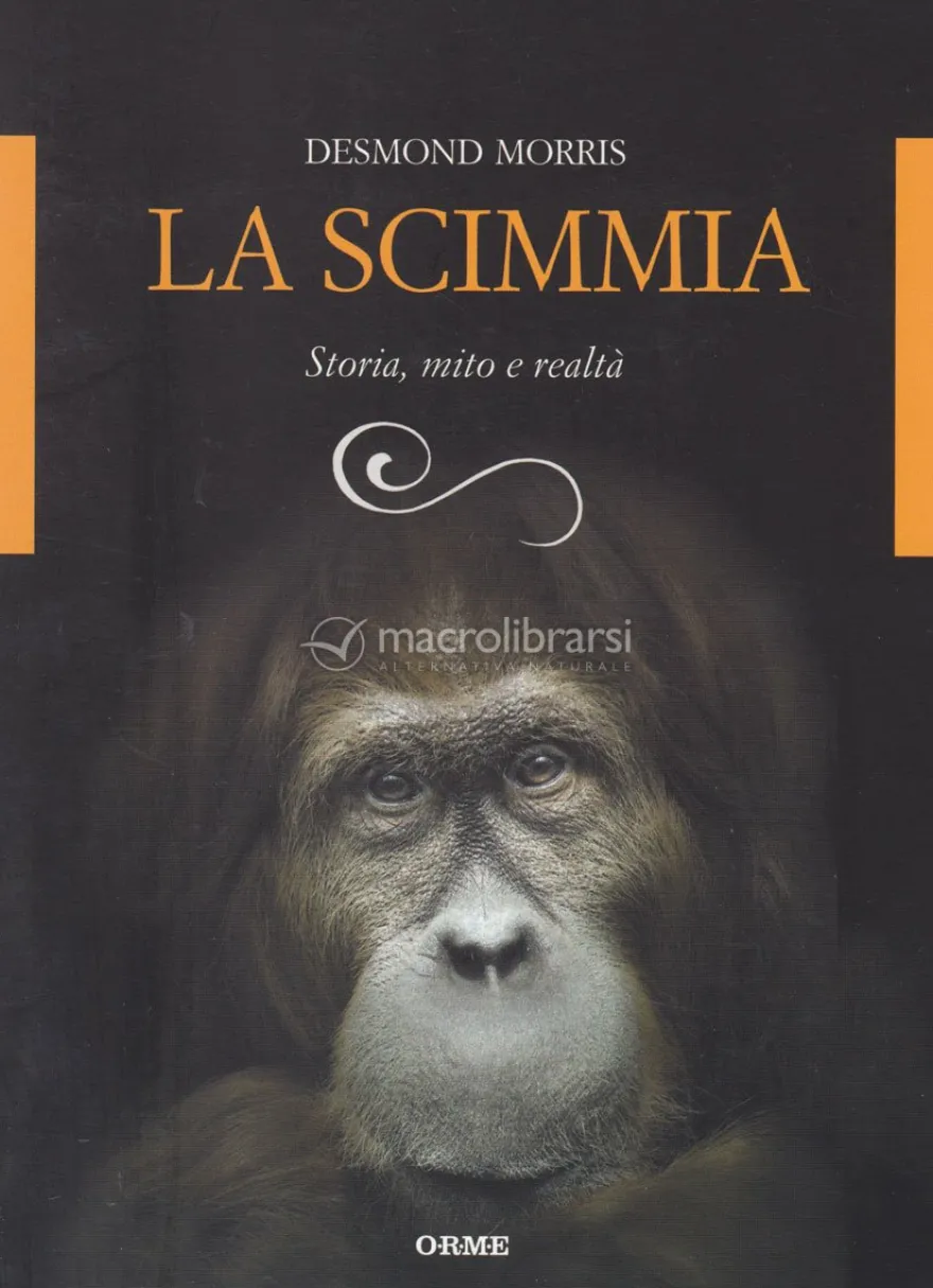 La Scimmia