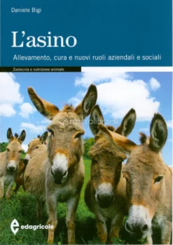 L'Asino
