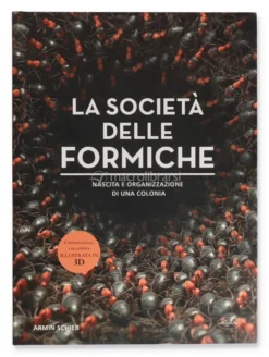 La Società delle Formiche