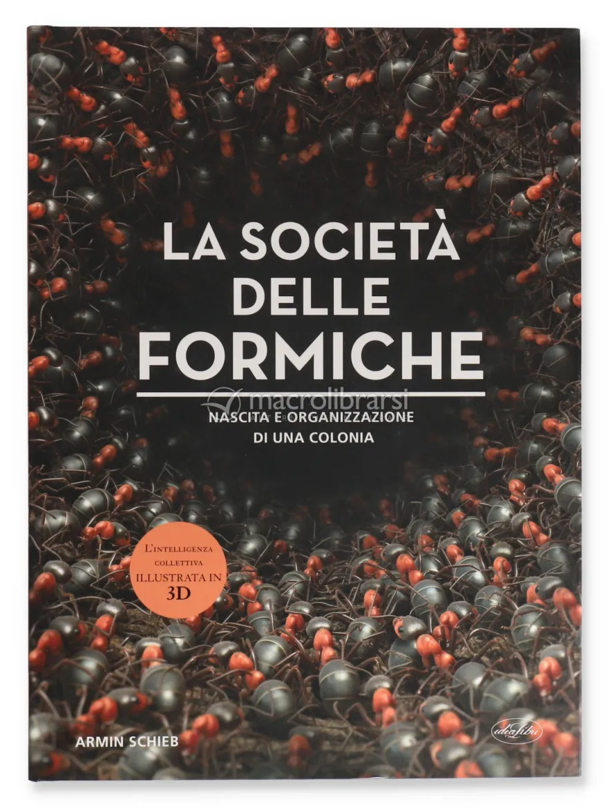 La Società delle Formiche