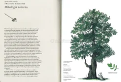 La Storia degli Alberi e di Come Hanno Cambiato il Nostro Modo di Vivere