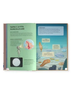 La Storia della Terra