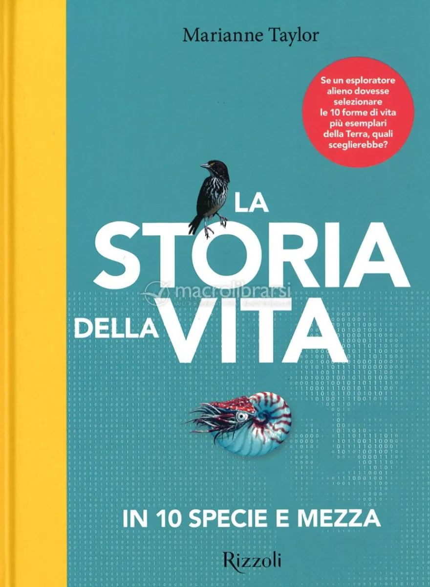 La Storia della Vita