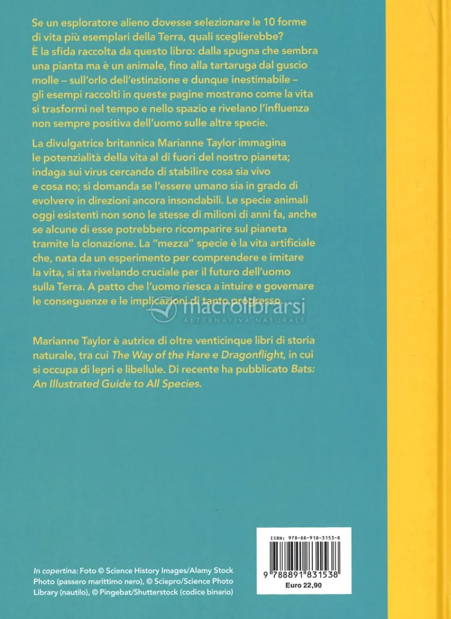 La Storia della Vita
