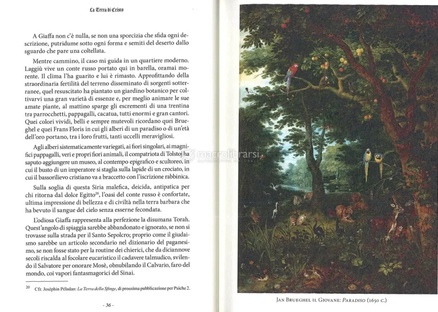 La Terra di Cristo
