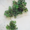 La Terra si Rivolta