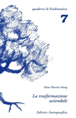La Trasformazione Aziendale