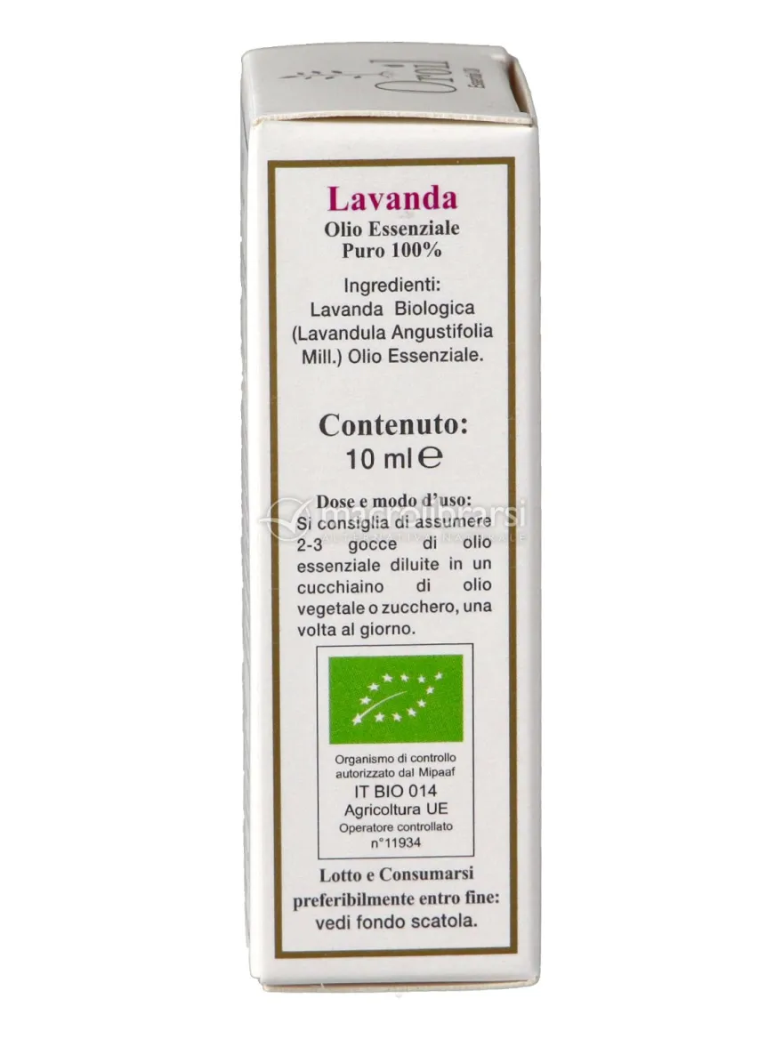 Lavanda Oil - Oroil