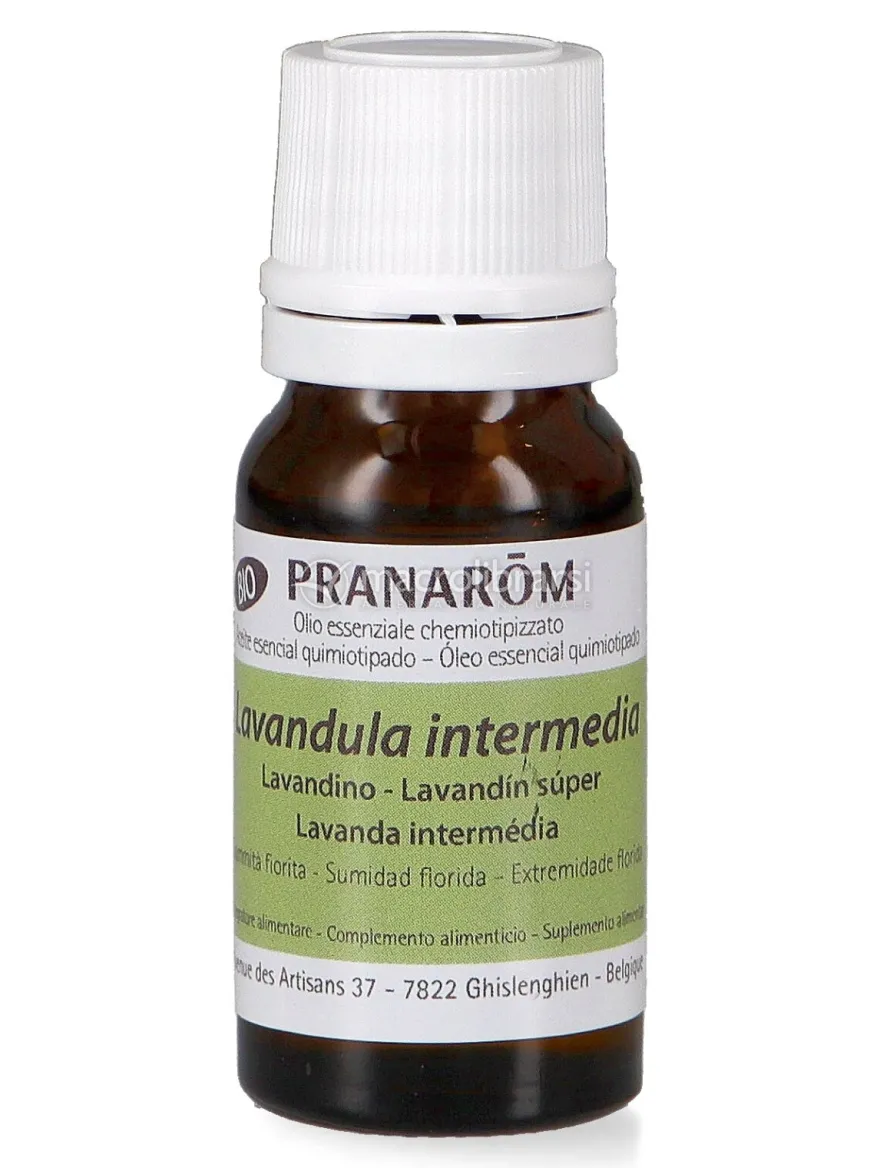 Lavandino - Olio Essenziale Bio