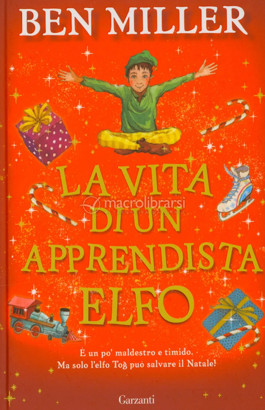 La Vita di un Apprendista Elfo